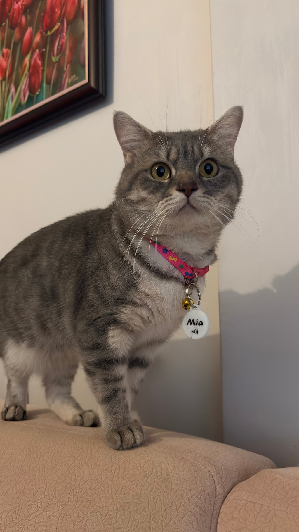 Smart NFC Pet ID Tag – Server-Free, Waterproof, Instant Contact (Novalit Labs)