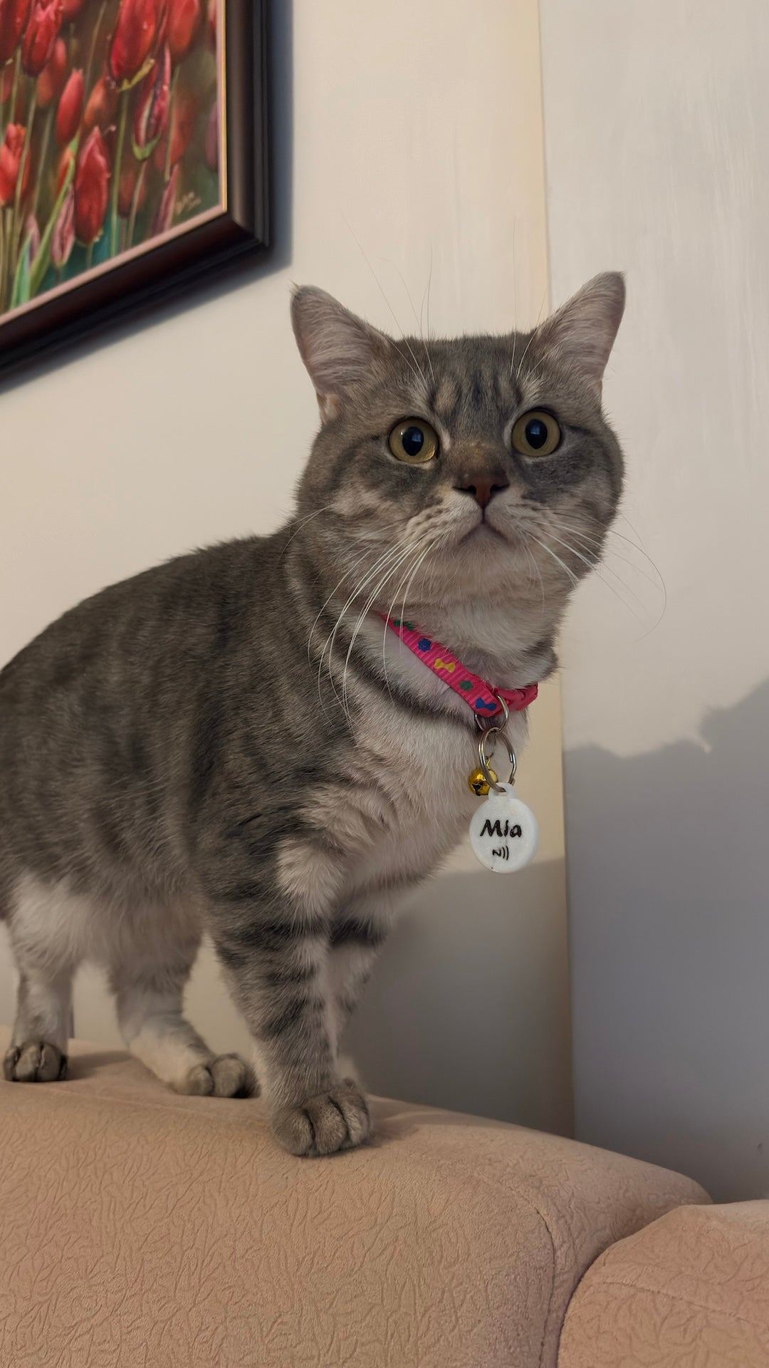 Smart NFC Pet ID Tag – Server-Free, Waterproof, Instant Contact (Novalit Labs)